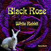 Buy Black Rose White Rabbit CD!